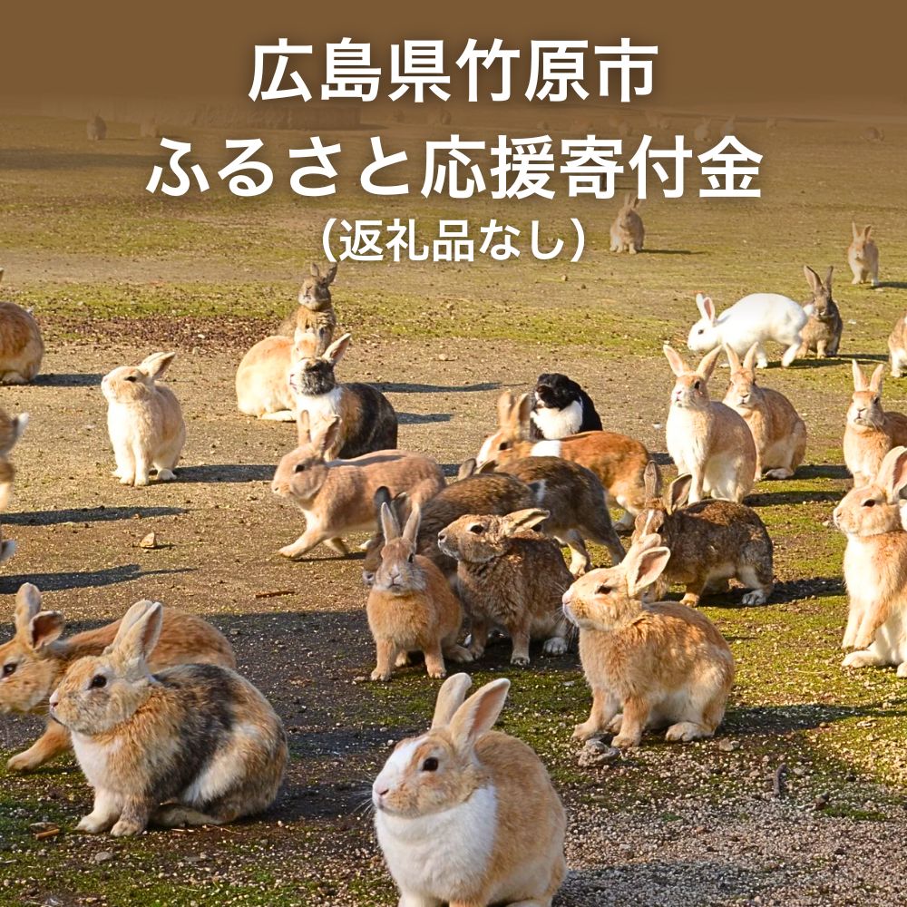 【返礼品なし】 こちらの寄附に対して、お礼の品はお送りしてはおりません。 予めご了承くださいますようお願い申し上げます。 初めまして、広島県竹原市と申します。 竹原市は瀬戸内海に面し、美しい海と豊かな自然に囲まれた人口2万人ほどのまちです。 江戸時代から変わらない町並みが残る「町並み地区」、野生のうさぎが数多く住むうさぎ島「大久野島」など、 伝統と歴史と自然が交差した見どころがたくさんあり、訪れる人々にやすらぎを与えます。 しかし一方で、少子高齢化など地方課題も山積しております。 この竹原の豊かな自然や文化を次の世代へと渡すためにも、いただいた寄付を有効に活用してまいります。 寄付は、子育て支援や教育、地域産業の活性化など、竹原市の持続可能なまちづくりに役立てられます。 竹原市の未来を支え、地域の魅力をさらに広めるための活動に、皆様のますますのご支援を是非お願いいたします。 ※こちらからのご寄附についてはお礼の品のご送付はございません。あらかじめご了承ください。 ※年間の寄附金額が2,000円以下の場合は寄附金控除の適用外となります。 ※寄附申込みのキャンセル、返礼品の変更・返品はできません。あらかじめご了承ください。 ※寄付金受領証明書等の書類は、後日郵送いたします。 名称【返礼品なし】広島県竹原市 ふるさと応援寄附金 注意事項 ※こちらからのご寄附についてはお礼の品のご送付はございません。あらかじめご了承ください。 ※年間の寄附金額が2,000円以下の場合は寄附金控除の適用外となります。 ※寄附申込みのキャンセル、返礼品の変更・返品はできません。あらかじめご了承ください。 ※寄付金受領証明書等の書類は、後日郵送いたします。返礼品なし 寄附金の用途について ひとにやさしいふるさとづくり 竹原の資源を活かしたふるさとづくり 魅力あふれるふるさとづくり 市長におまかせ 受領証明書及びワンストップ特例申請書のお届けについて 【受領証明書】 受領証明書は、ご入金確認後、注文内容確認画面の【注文者情報】に記載の住所にお送りいたします。 発送の時期は、寄附確認後1～2週間程度を目途に、お礼の特産品とは別にお送りいたします。 【ワンストップ特例申請書について】 ワンストップ特例をご利用される場合、1月10日までに申請書が当庁まで届くように発送ください。 マイナンバーに関する添付書類に漏れのないようご注意ください。 ※期限までにご提出できない場合，確定申告が必要となりますのでご注意ください。 申請書のダウンロードはこちら