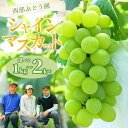 【ふるさと納税】【選べる内容量!】先行予約 西部ぶどう園 シャインマスカット 1~2kg 薄皮 種なし 葡萄 ぶどう ブドウ フルーツ 果物 数量限定※沖縄・離島への配送不可 ※2025年9月下旬~10月下旬頃に順次発送予定