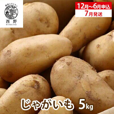 吉名の「まるきっちゃん」じゃがいも【約5kg】(12月～6月申込)7月発送　【 野菜 じゃがいも ポテト いも 芋 料理 総菜 産地直送 瀬戸内海の温暖な気候で育つ 美味しいじゃがいも 】※2024年7月上旬頃順次発送予定