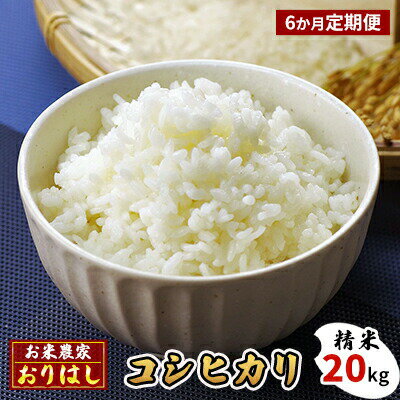 【ふるさと納税】【先行予約】【定期便6ヶ月】お米 コシヒカリ 精米 20kg おにぎり 竹原市 小梨町 お米農家 おりはし【定期便・ 広島県産 白米 名水 甘み おむすび ご飯 定期便 6カ月定期 】※2024年9月頃より順次発送予定