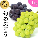 【ふるさと納税】訳あり ぶどう詰合せ 旬のぶどう 約1kg 貞森ぶどう光園 ぶどう ブドウ 葡萄 フルーツ 果物 【 大粒 人気 皮ごと 熟した 採れたて 食べ比べ ピオーネ 】 ※2025年9月上旬~9月下旬頃に順次発送予定