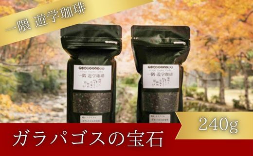一隅 遊学珈琲 ガラパゴスの宝石 Jewels of Miconia(計240g)コーヒー 焙煎 豆 044001