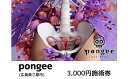 【ふるさと納税】チケット 広島 pongee 美容整骨 施術券 3,000円分 フェムケア 矯正 骨盤矯正 美容 サロン 3000円 広島県 三原市 12900...