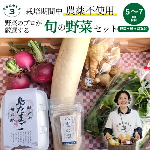 【ふるさと納税】【栽培期間中無農薬】野菜のプロが選ぶ. 旬の野菜・卵・天然塩 全5〜7品詰め合わせセット(レシピ付き) 野菜 塩 卵 たまご 有機農家 野菜セット オーガニック レシピ 広島県 三原市 佐木島 083001