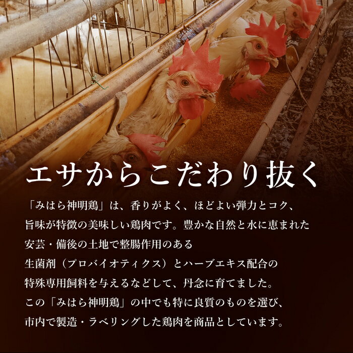 【ふるさと納税】【テレビで話題！】「みはら神明鶏」モモ肉3kg(250g×12パック) 広島県産 鳥徳 神明鶏 鶏肉 とりもも 鶏もも肉 唐揚げ 鳥すき チキン グリル モモ 低カロリー 高たんぱく 012011