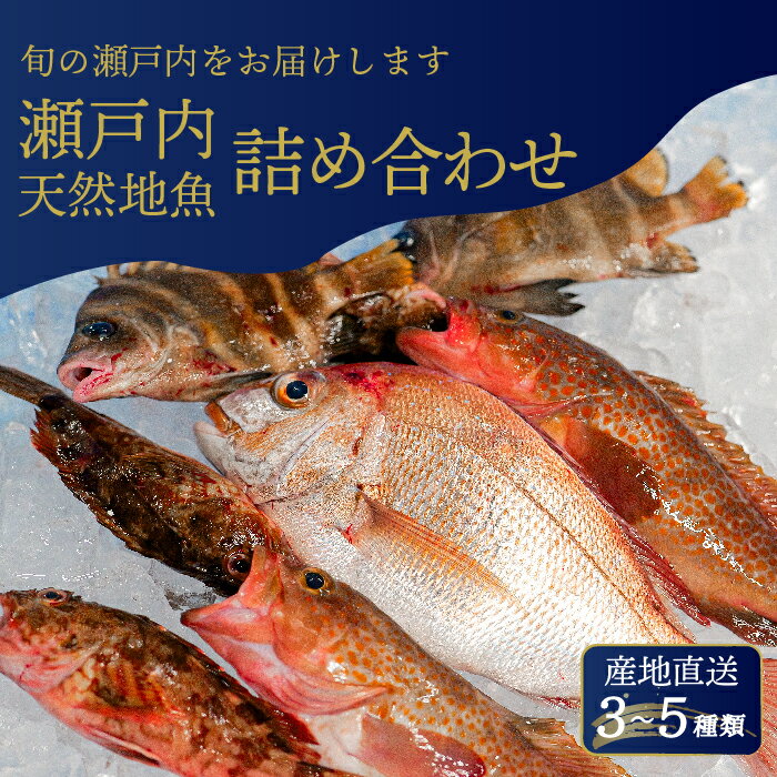 瀬戸内産 鮮魚 地魚詰め合わせ(3〜5種類)瀬戸内の天然鯛入り/ 地魚 鯛 天然鯛 真鯛 天然 鮮魚 下処理済 瀬戸内 広島県 三原市 154003