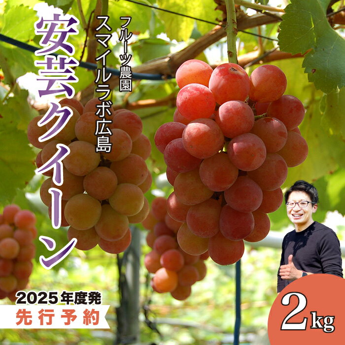 【ふるさと納税】【先行受付】安芸クイーン2kg ブドウ 葡萄 安芸クイーン 新鮮 産地直送 広島県三原市【2025年8月下旬以降順次発送】 059006