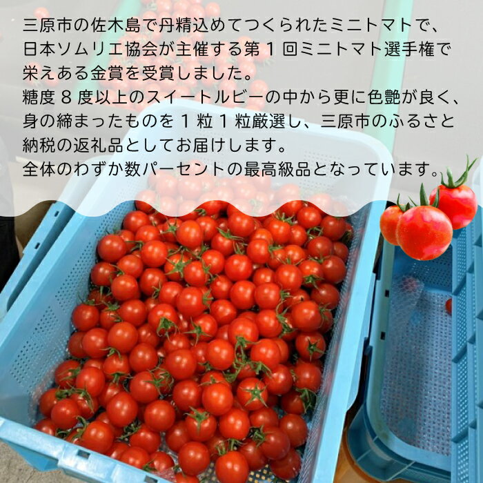 【ふるさと納税】広島県産 スイートルビートマト1kg 野菜 やさい 食品 トマト ミニトマト とまと 金賞受賞 三原市 甘い 032001