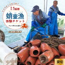 【ふるさと納税】各日1組限定!貸切!蛸壷漁体験!(お土産付き)1名~5名 たこ タコ 伝統 山立て 漁法 夏休み 思い出 学習 宿題 自由研究 旅行 家族 レジャー 利用券 トラベル 広島県 三原市 031009