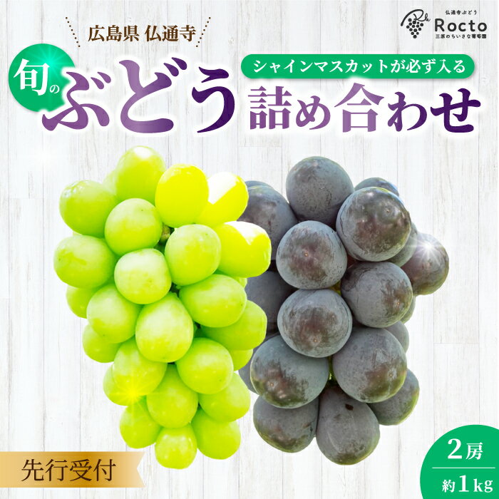 【ふるさと納税】【先行受付】厳選!旬のぶどう詰め合わせ約1kg(2房) 2025年9月上旬から順次発送 種なし シャインマスカット 品種 農園おまかせ ピオーネ BKシードレス 安芸クイーン クイーンニーナ スカーレット お楽しみ 人気 葡萄 贈答 お中元 プレゼント 厳選 フルー