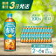 【ふるさと納税】【2~6ヶ月定期便】やかんの麦茶 from 爽健美茶 PET 650ml×24本 最短3日で発送 ペットボトル お茶 むぎ茶 飲料 カフェインゼロ 箱買い まとめ買い 防災 備蓄 014009-r 18,000円