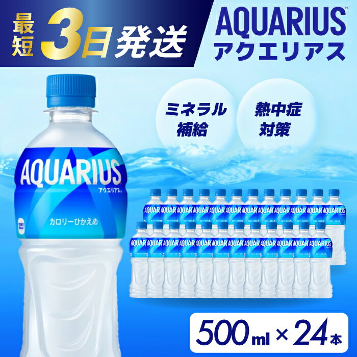 【ふるさと納税】アクエリアス PET 500ml×24本(1ケース) 最短3日で発送 スポーツドリンク スポーツ飲料 清涼飲料水 水分補給 ペットボトル 箱買い まとめ買い 014016のサムネイル