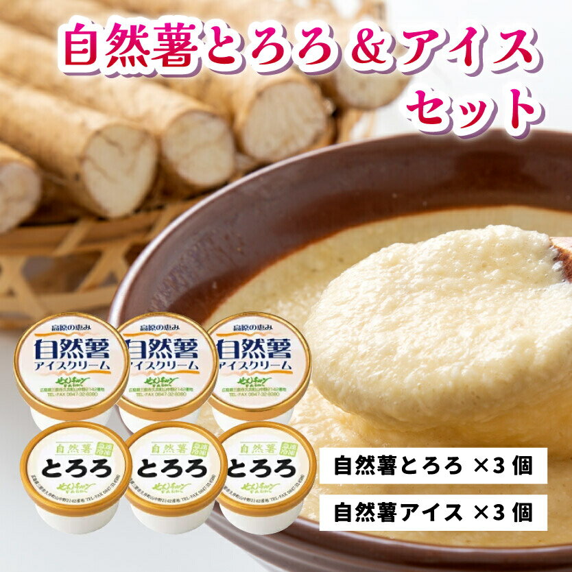 とろろ アイスクリーム 2つを混ぜると大福味に 高原の恵み セット 6個入り 自然薯 詰め合わせ 野菜 アイス スイーツ デザート 029001