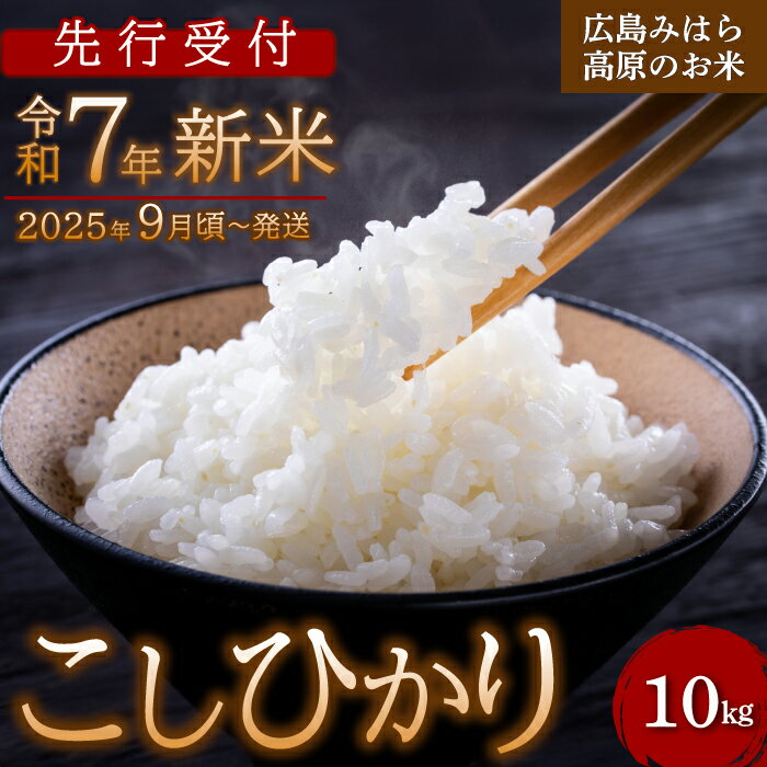 【ふるさと納税】【先行受付】令和7年新米 コシヒカリ 白米10kg 2025年9月頃～発送 お米 米 精米 ごはん ご飯 広島県 三原市 220002