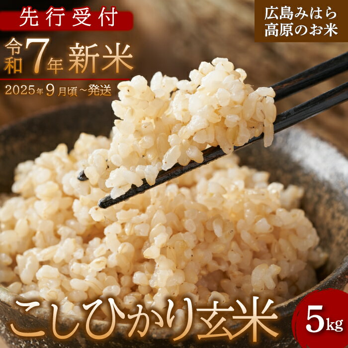 ڤդ뤵ǼǡۡԼա7ǯ ҥ 5kg 2025ǯ9ȯ    Ϥ  縩  22...