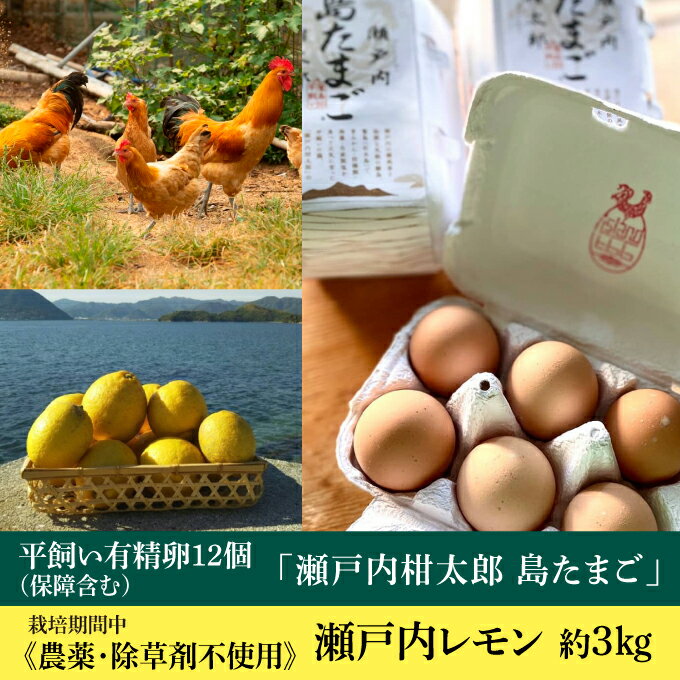 レモン 卵[先行受付][2025年11月以降発送]平飼い有精卵「島たまご」10個+2個(保障付)栽培期間中農薬・除草剤を使わず育てた瀬戸内レモン3kg 広島 三原 佐木島 鷺島みかんじま 017036