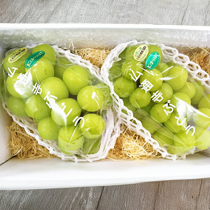 【ふるさと納税】【先行受付】久和田農園の朝採り シャインマスカット 2房 マスカット ぶどう ブドウ 果物 フルーツ 広島県 三原市 034003