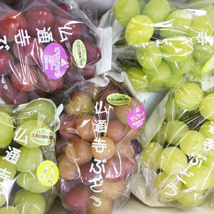 【ふるさと納税】【先行受付】久和田農園の朝採り ぶどう 詰め合わせ 2kg 葡萄 ブドウ 食べ比べ フルーツ 果物 2026年お届け 広島県 三原市 034008