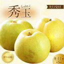 【ふるさと納税】【先行受付】希少品種!秀玉 梨 5kg 2025年9月中旬発送予定 果物 くだもの フルーツ なし 202017
