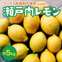 【ふるさと納税】瀬戸内 レモン 約5kg【栽培期間中防腐剤ワックス不使用】【先行受付】【2025年12月以降発送】レモン 国産 佐木島 三原 広島 フルーツ 果物 柑橘 柑橘類 檸檬 017031