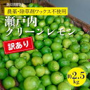 【ふるさと納税】レモン【先行受付】【2025年10月以降発送】【栽培期間中 農薬・除草剤不使用】離島 佐木島!訳ありグリーンレモン 約2.5kg 広島 三原 佐木島 鷺島みかんじま 017062