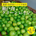 【ふるさと納税】レモン 【先行受付】【2025年10月以降発送】【栽培期間中 農薬・除草剤不使用】離島 佐木島!グリーンレモン 約2.5kg 広島 三原 佐木島 鷺島みかんじま 017061