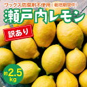 【ふるさと納税】瀬戸内 訳ありレモン 約2.5kg【栽培期間中防腐剤ワックス不使用】【先行受付】【2025年12月以降発送】レモン 国産 佐木島 三原 広島 フルーツ 果物 柑橘 柑橘類 檸檬 訳あり 017059