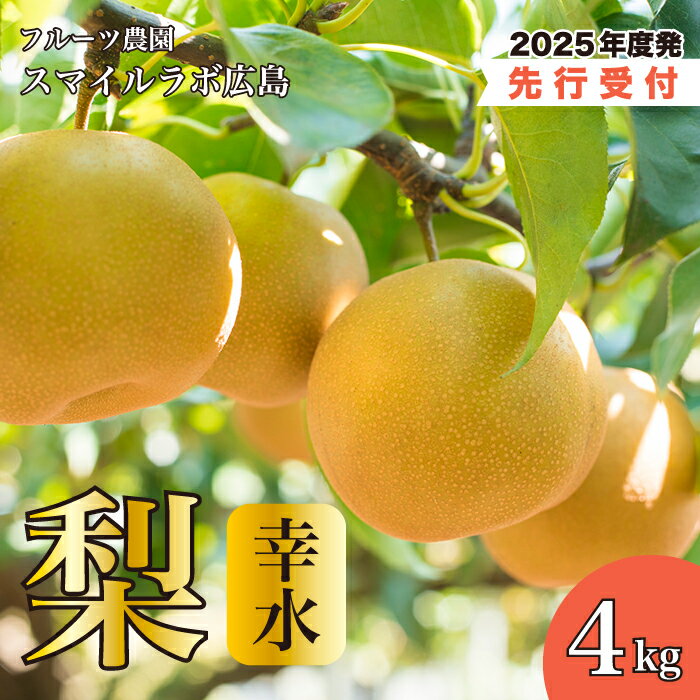 [先行受付]幸水(こうすい)4kg 梨 ナシ なし 新鮮 産地直送 広島県三原市 [2025年8月中旬以降順次発送]059009