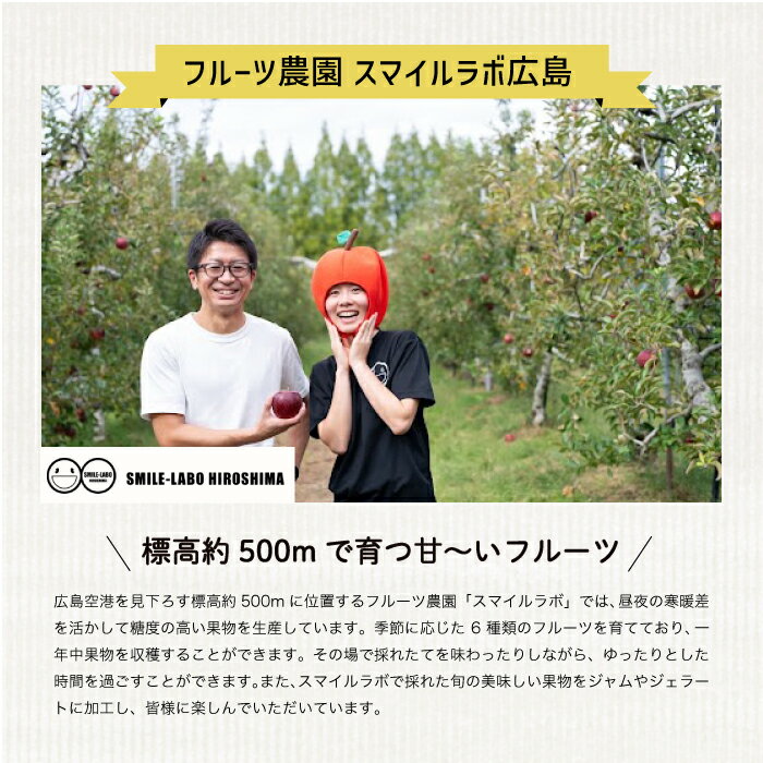 【ふるさと納税】【先行受付】りんご　おまかせセット りんご リンゴ 林檎 詰め合わせ おまかせ 新鮮 産地直送 広島県三原市【2025年10月中旬以降順次発送】 059013