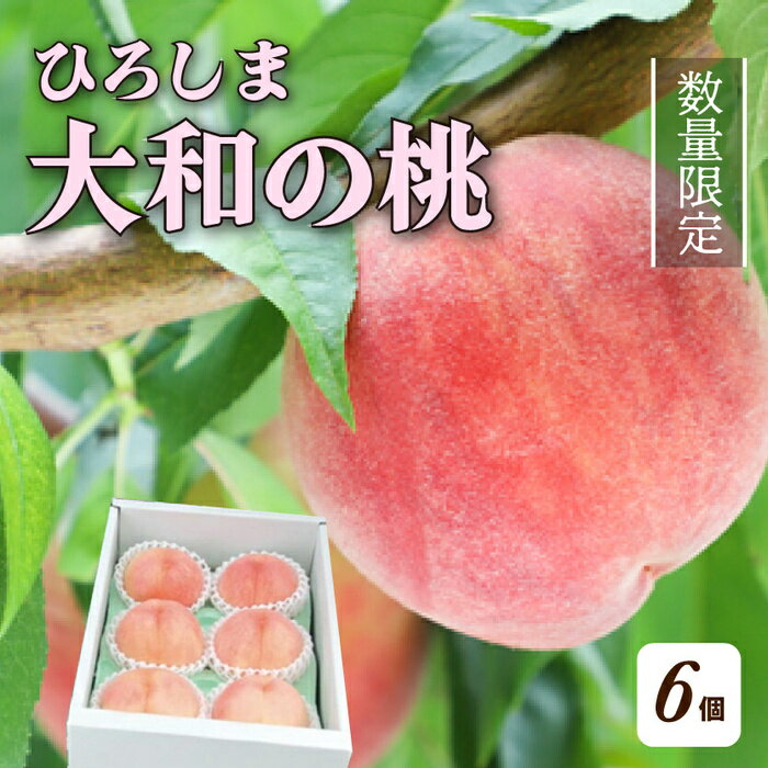 【ふるさと納税】【先行予約】部谷桃園 ひろしま大和の桃 6個セット 果物 フルーツ デザート 食後 旬の桃 旬の果物 旬のフルーツ 新鮮 夏 夏の果物 067001