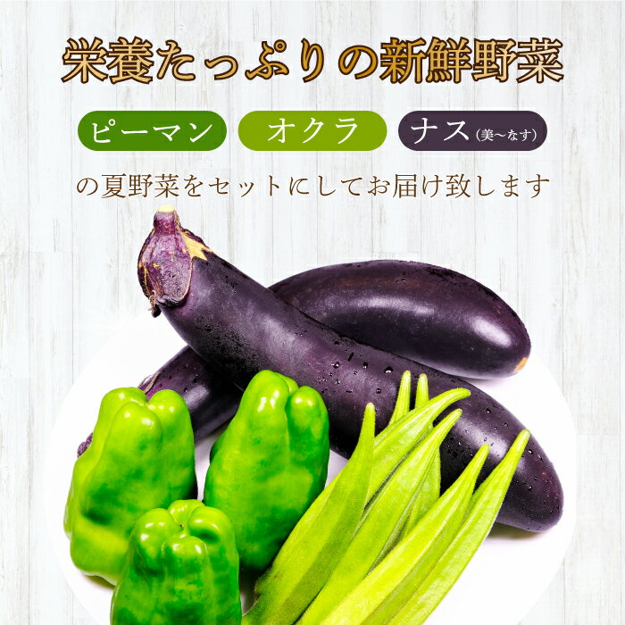 【ふるさと納税】【先行受付】みのる農園 農家直送！夏野菜セット(ピーマン、ナス、オクラ)3.5kg やさい 詰合せ BBQ 2025年7月～10月上旬お届け 広島県三原市 206002