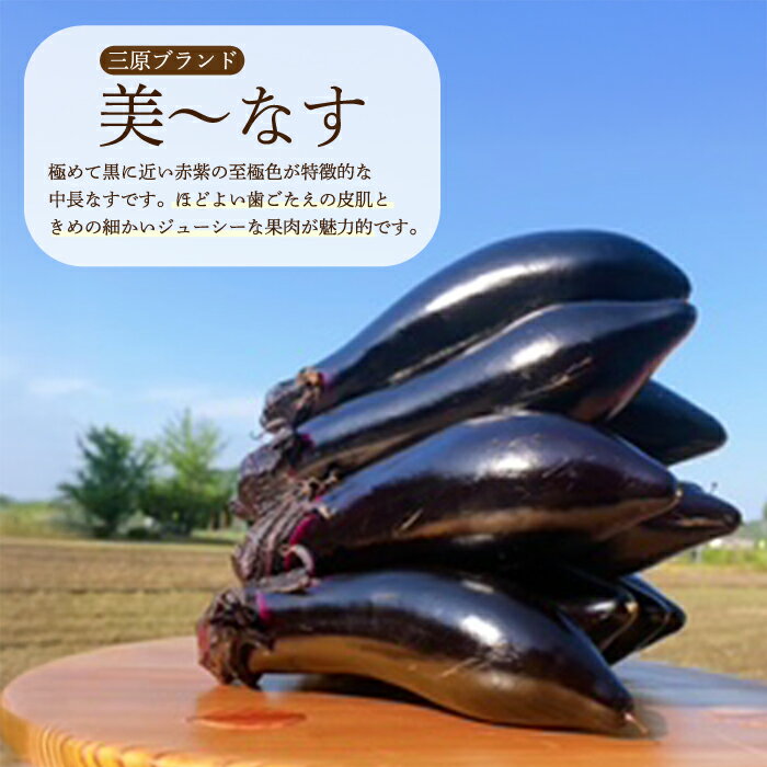 【ふるさと納税】【先行受付】みのる農園 農家直送！夏野菜セット(ピーマン、ナス、オクラ)3.5kg やさい 詰合せ BBQ 2025年7月～10月上旬お届け 広島県三原市 206002
