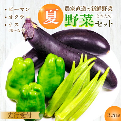 【ふるさと納税】【先行受付】みのる農園 農家直送!夏野菜セット(ピーマン、ナス、オクラ)3.5kg やさい 詰合せ BBQ 2025年7月~10月上旬お届け 広島県三原市 206002 【ふるさと納税】【先行受付】みのる農園 農家直送!夏野菜セット(ピーマン、ナス、オクラ)3.5kg やさい 詰合せ BBQ 2025年7月~10月上旬お届け 広島県三原市 206002