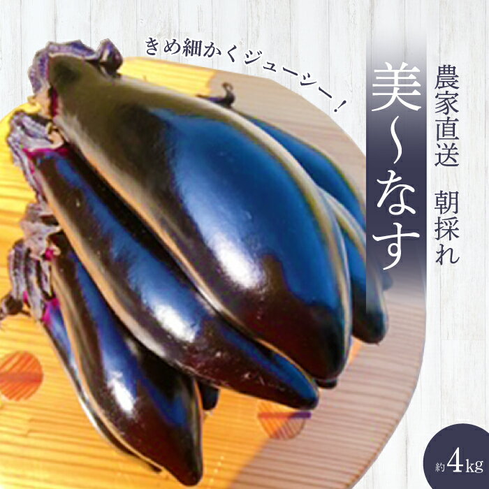 ڤդ뤵ǼǡۡԼաۤߤΤ ľʤ 4kg ʥ  䤵 2025ǯ710ܤϤ 縩 20...