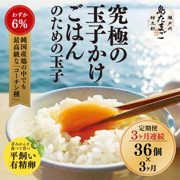 【ふるさと納税】【3ヶ月 定期便夏季】瀬戸内柑太郎『島たまご』平飼い有精卵 36個(34個+割れ補償2個) 平飼い 純国産鶏 コーチン種 卵 たまご 佐木島 三原 広島 3回 夏季 017070