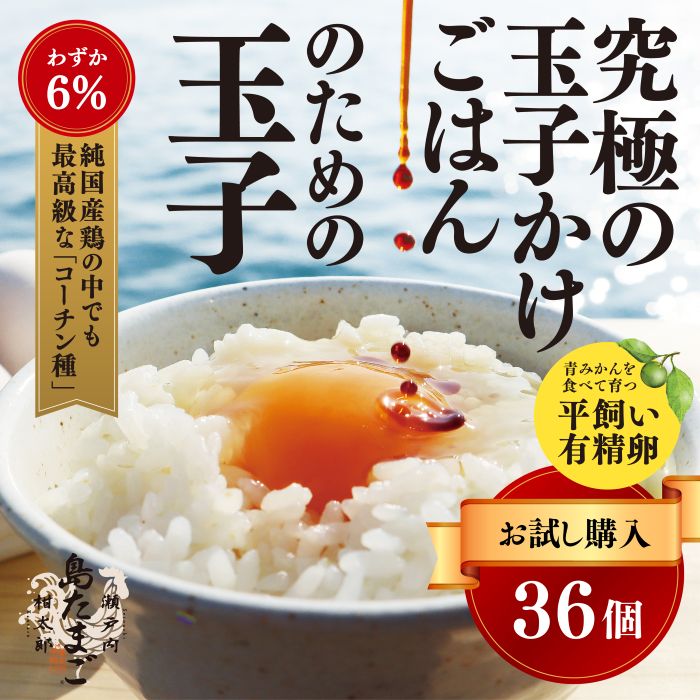 [お試し夏季]瀬戸内柑太郎『島たまご』平飼い有精卵 36個(34個+割れ補償2個) 平飼い 純国産鶏 コーチン種 卵 たまご 佐木島 三原 広島 夏季 017071