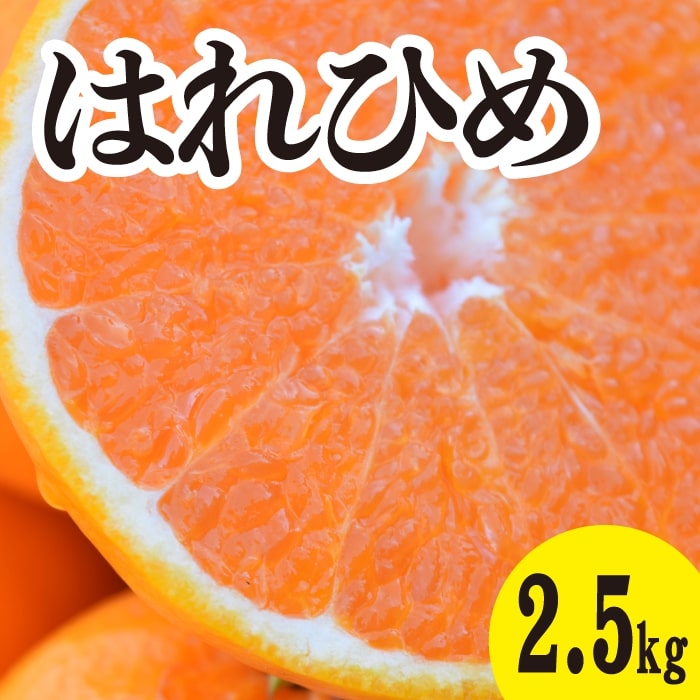 【ふるさと納税】みかん【先行受付】【2026年1月以降発送】 爽やかな香りと甘さに満足！ 新品種 はれひめ ＜約2.5kg＞ 広島 三原 佐木..