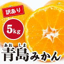 【ふるさと納税】みかん【先行受付】【2026年1月末以降発送】濃厚な甘さが特徴!訳あり青島みかん <約5kg> 広島 三原 佐木島 鷺島みかんじま 017067(4)