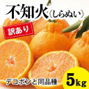 21位! 口コミ数「1件」評価「5」みかん 柑橘【先行受付】【2026年3月以降発送】甘さ抜群訳ありしらぬい!デコちゃん【デコポンと同品種】<約5kg> 広島 三原 佐木島 鷺島みかんじま 017048