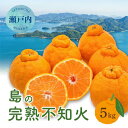 【ふるさと納税】【先行受付】瀬戸内 島の不知火 約5kg 白鷺農園《2026年2月下旬〜4月上旬頃出荷》 デコポン と同品種 旬 柑橘 フルーツ 果物 しらぬい...
