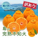【ふるさと納税】【先行受付】<訳あり>瀬戸内 島の不知火 約5kg 白鷺農園《2026年2月下旬〜4月上旬頃出荷》 デコポン と同品種 旬 柑橘 フルーツ 果物...