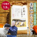 【ふるさと納税】【栽培期間中・無肥料無農薬】瀬戸内三原 羊飼いのこしひかり7分搗き 1.9kg 2025年9月上旬発送予定 瀬戸内ビオファーム お米 こめ ご飯 002010