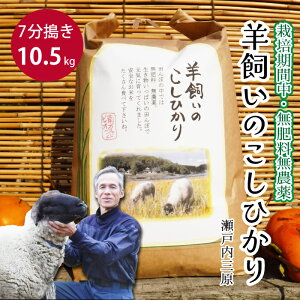 【ふるさと納税】【栽培期間中・無肥料無農薬】瀬戸内三原 羊飼いのこしひかり 7分搗き 10.5kg 2025年9月上旬発送予定 瀬戸内ビオファーム お米 こめ ご飯 002012