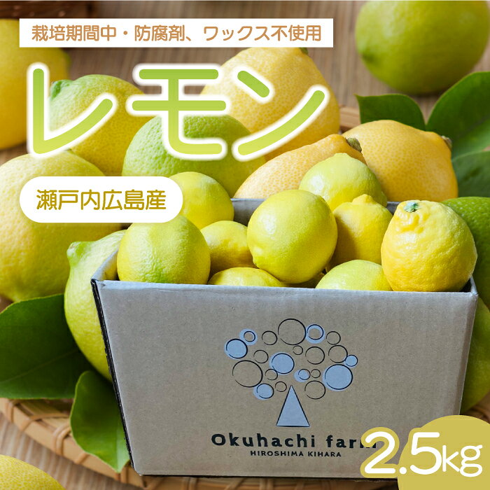[おくはち農園]レモン 2.5kg [2026年11月〜3月発送予定]栽培期間中 防腐剤 ワックス 不使用 旬 柑橘 かんきつ フルーツ 果物 166021