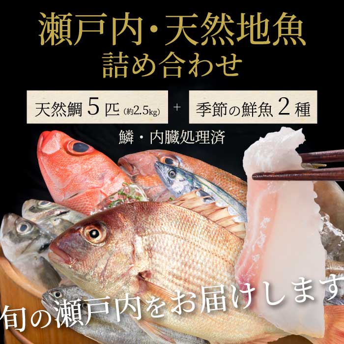 瀬戸内産 天然鯛 約2.5kg(500g×5匹/鱗・内臓処理)・鮮魚2種 詰め合わせ 地魚 鯛 天然鯛 真鯛 天然 鮮魚 下処理済 瀬戸内 広島県 三原市 154007