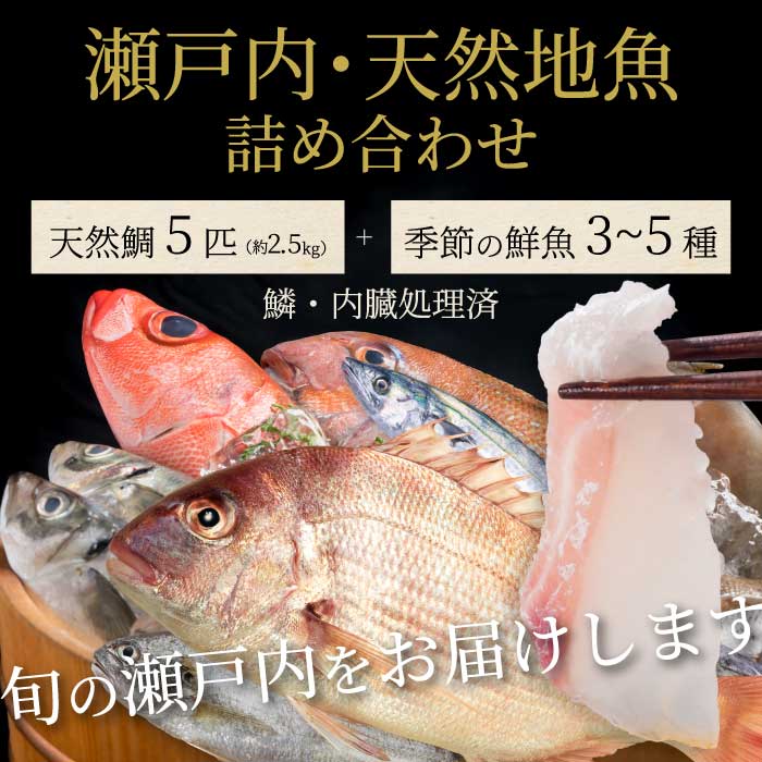 【ふるさと納税】瀬戸内産 天然鯛 約2.5kg（500g×5匹/鱗・内臓処理）・鮮魚3～5種 詰め合わせ 地魚 鯛 天然鯛 真鯛 天然 鮮魚 下処理済 瀬戸内 広島県 三原市 154008