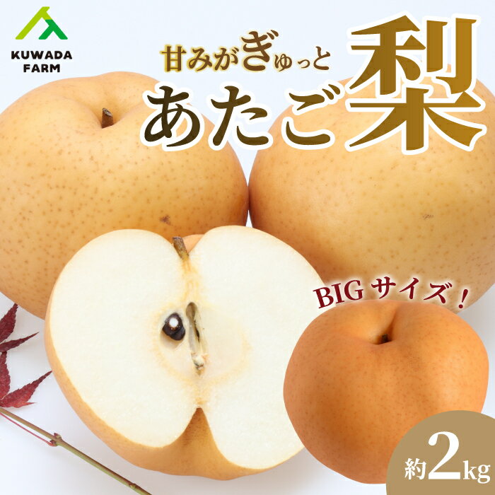 【ふるさと納税】【久和田農園】 甘味がぎゅっと あたご梨 2kg なし フルーツ 梨 果物 広島県三原市 0...