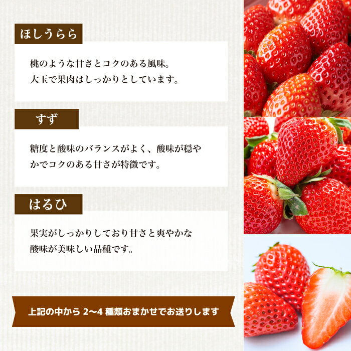 【ふるさと納税】【先行受付】フルーツ農園のおまかせ ～ いちご ～ 450g 2026年3月中旬以降発送予定 イチゴ 苺 フルーツ 果物 広島県 三原市 059022