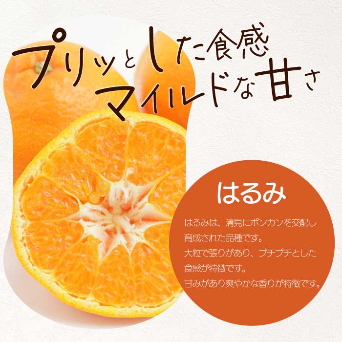 【ふるさと納税】【おくはち農園】〈訳あり〉はるみ 4.5kg 《2026年2～3月発送予定》栽培期間中 防腐剤 ワックス 不使用 旬 柑橘 かんきつ フルーツ 果物 瀬戸内 166008