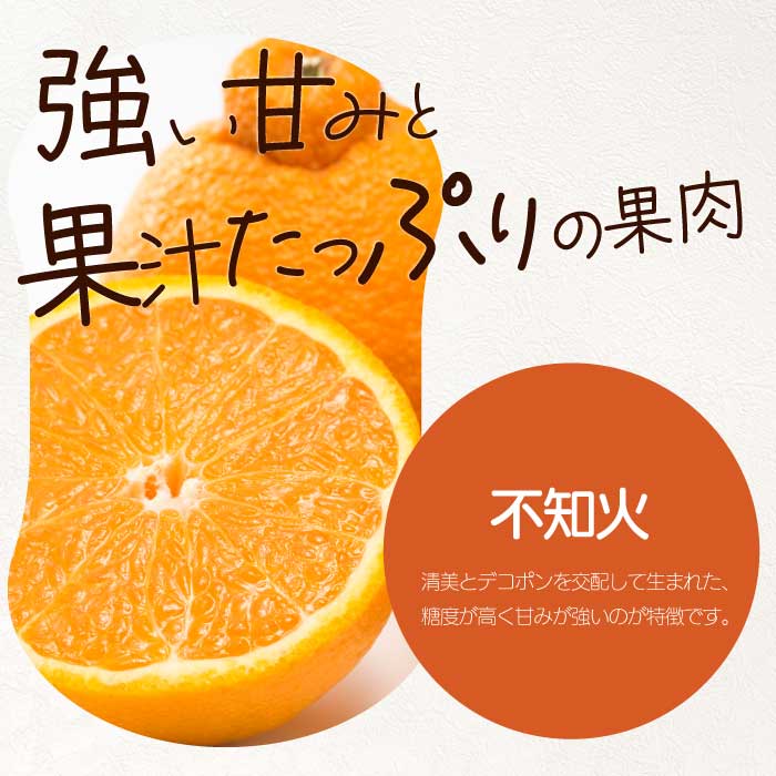 【ふるさと納税】【おくはち農園】〈訳あり〉不知火 （しらぬい）2.5kg 《2026年3月～4月発送予定》栽培期間中 防腐剤 ワックス 不使用 旬 柑橘 かんきつ デコポン フルーツ 果物 瀬戸内 166009